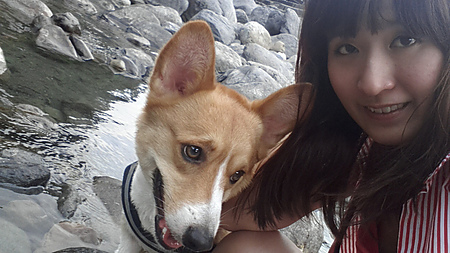 山地美食屋：【羽諾食記】山地美食屋