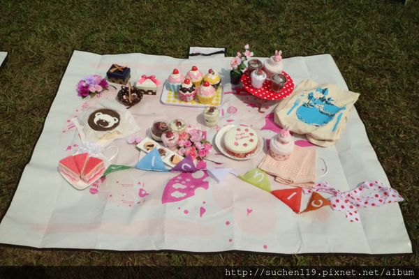 160305大臺北都會公園野餐樂_4890