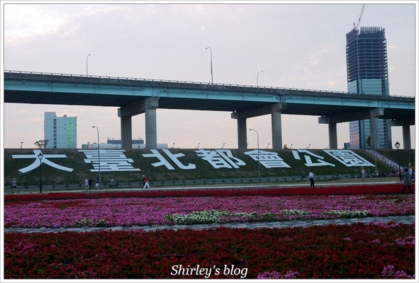大臺北都會公園幸福水漾花園：大台北都會公園‧婚紗廣場