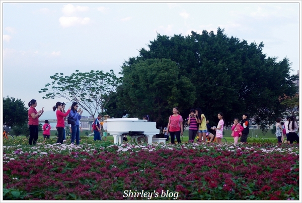 大臺北都會公園幸福水漾花園：大台北都會公園‧婚紗廣場