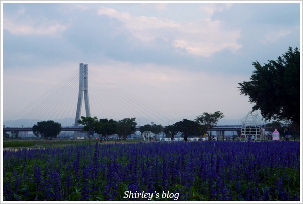大臺北都會公園幸福水漾花園：大台北都會公園‧婚紗廣場