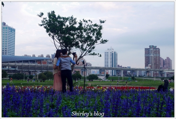 大臺北都會公園幸福水漾花園：大台北都會公園‧婚紗廣場