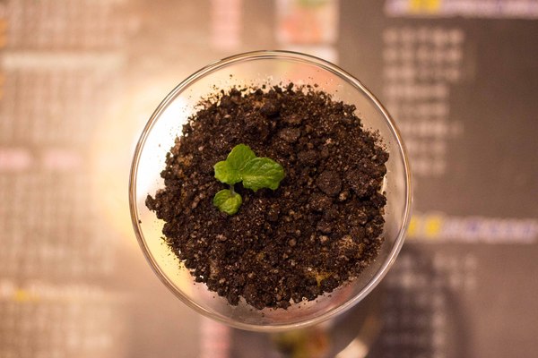 Sunny Pasta陽光義式廚坊：[台南]永康平價美味義大利麵 Sunny Pasta陽光義式廚坊