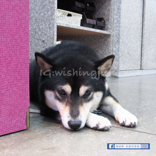 味之町_阿君君-5764