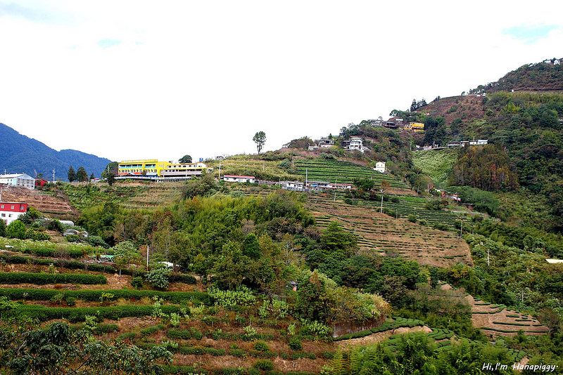 德羅杜夫清境美食推薦 (34)
