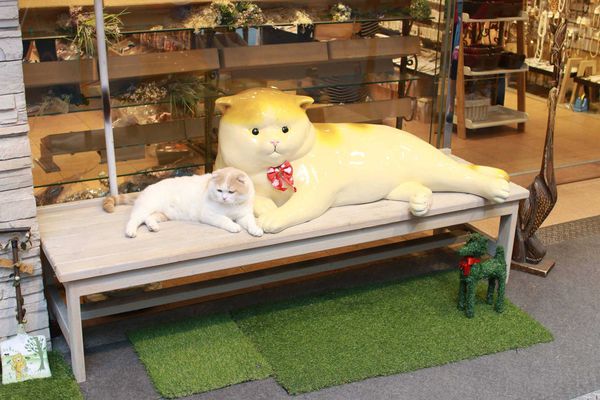 【台北車站】寶舖黃金炙燒吐司-創意吐司輕食料理-台北後火車站