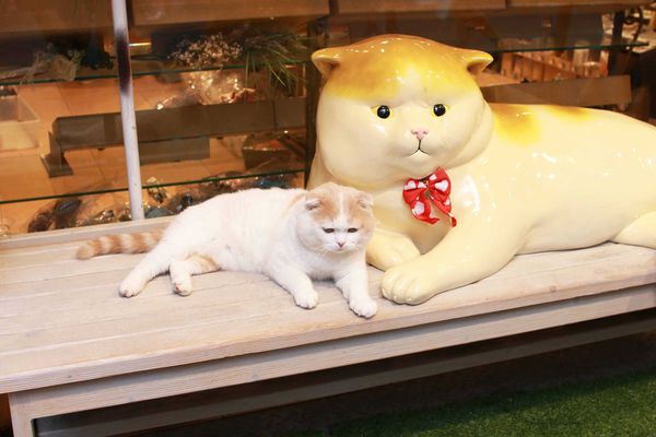 【台北車站】寶舖黃金炙燒吐司-創意吐司輕食料理-台北後火車站