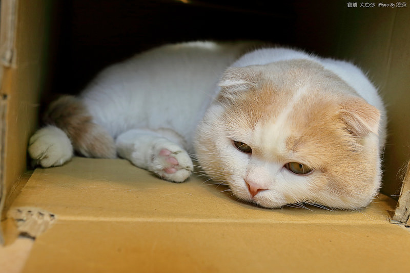 2015.05.30~寶舖一店