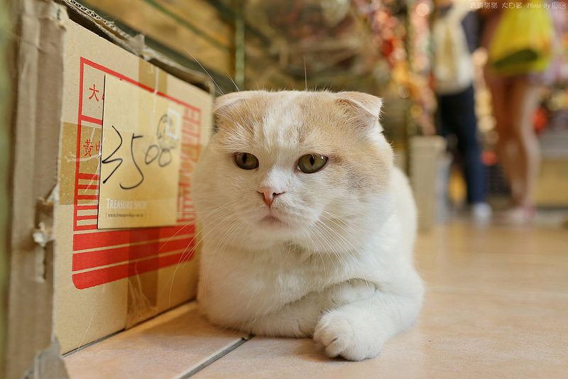 2015.05.30~寶舖一店