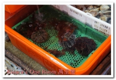 漁莊海鮮：龜吼漁港吃萬里蟹──漁莊本港海鮮