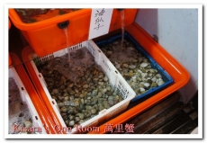 漁莊海鮮：龜吼漁港吃萬里蟹──漁莊本港海鮮