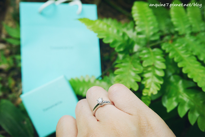 廖西瓜@陽明山竹子湖黑森林18