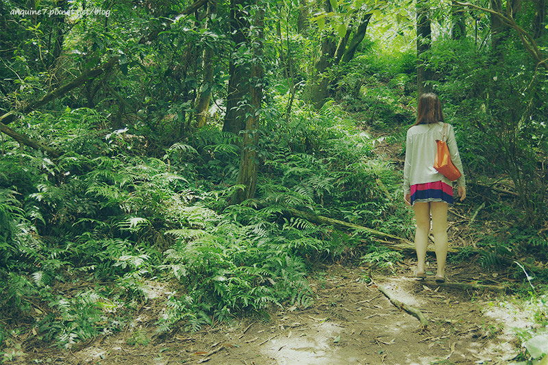 廖西瓜@陽明山竹子湖黑森林3