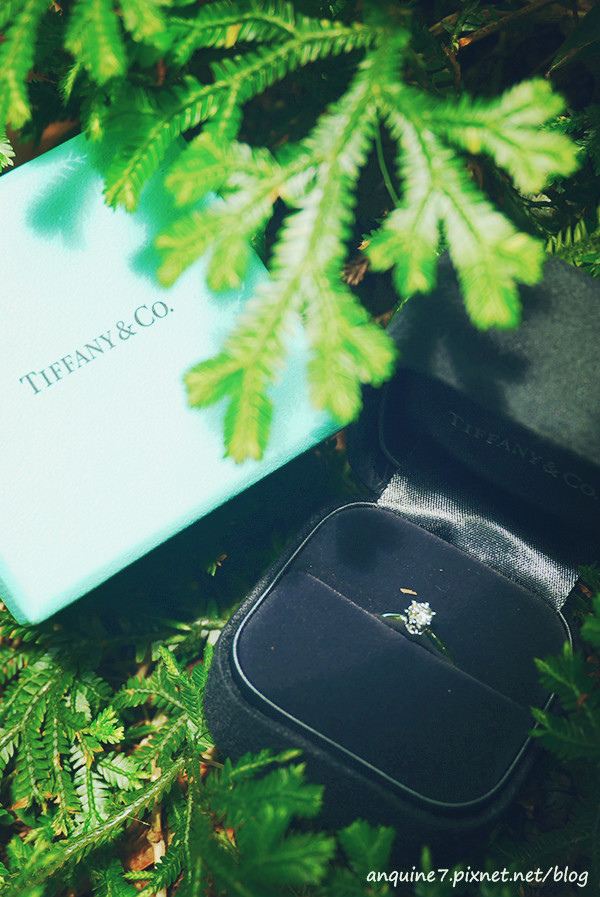 廖西瓜@陽明山竹子湖黑森林16