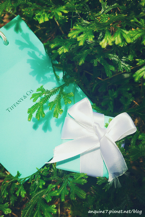 廖西瓜@陽明山竹子湖黑森林15