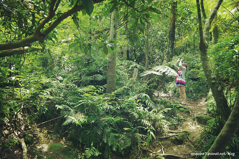 廖西瓜@陽明山竹子湖黑森林4