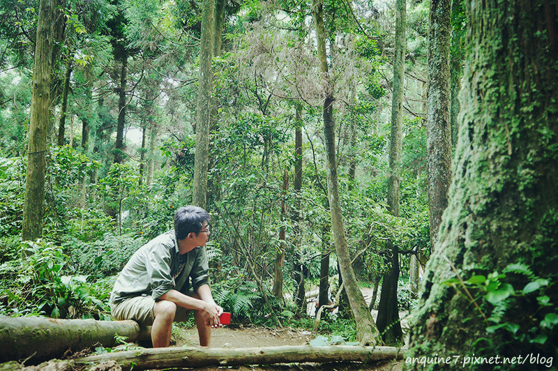 廖西瓜@陽明山竹子湖黑森林11