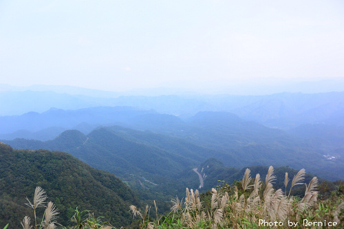 1118 2-五分山秋芒01