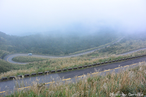 1118 2-五分山秋芒06