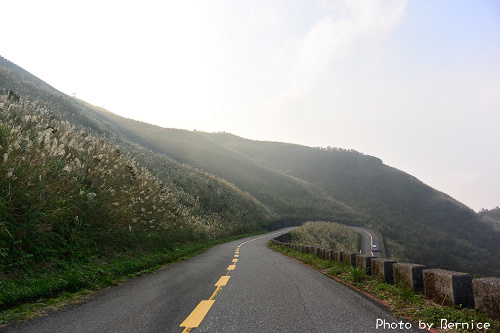 1118 2-五分山秋芒10