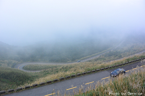 1118 2-五分山秋芒08