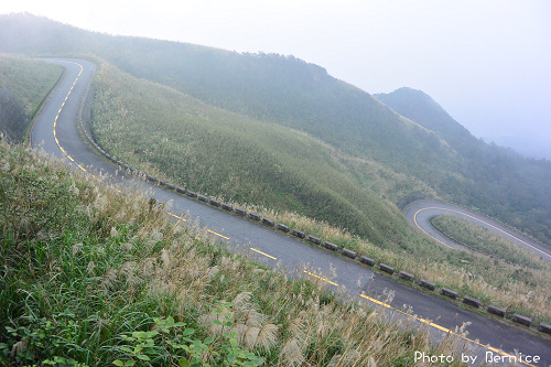 1118 2-五分山秋芒05