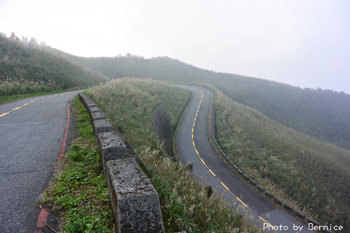 1118 2-五分山秋芒07