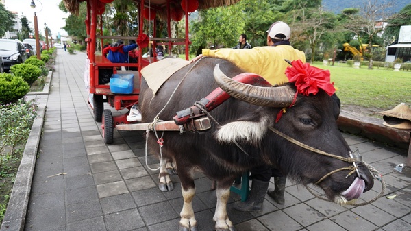 光復糖廠：花蓮光復糖廠 - 日式宿舍(住宿分享) + 糖廠吃冰