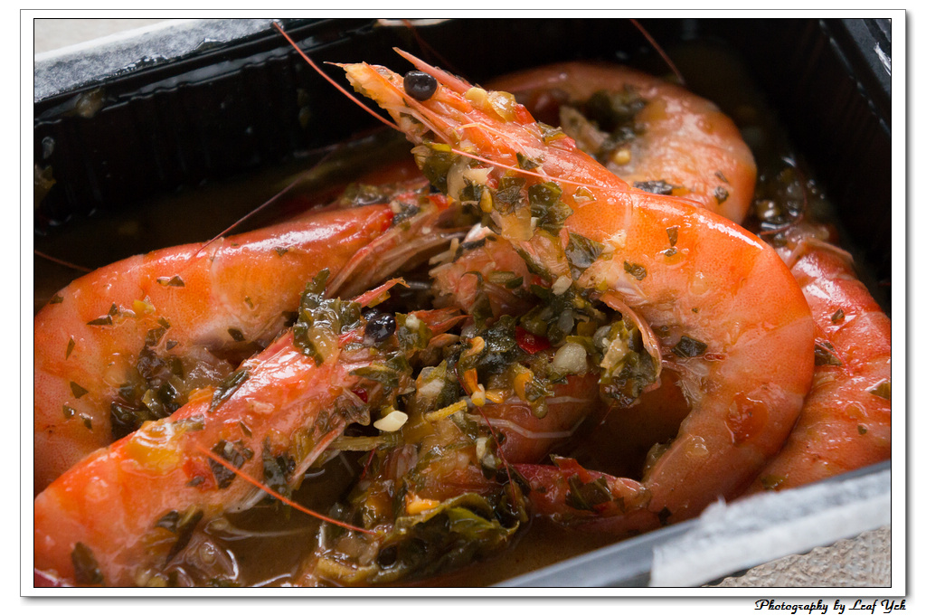 葉影瓶像版權所有