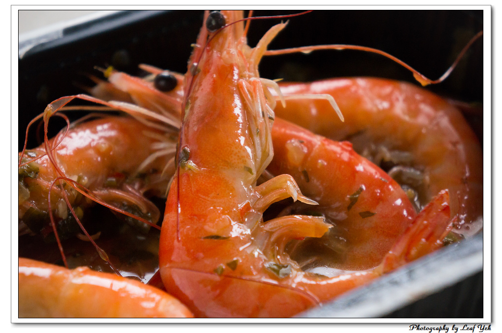 葉影瓶像版權所有