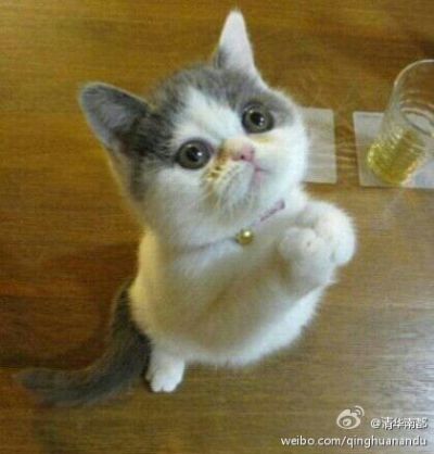 f184aabb4e60cb02f51555d556de3ab9