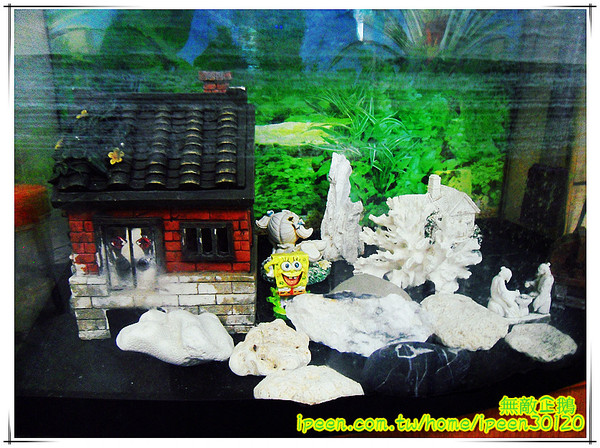 芳鄰小館：【台南-安平區】個人部隊鍋..小鳥胃勿來!! 美味家常麵...等你唷!~《芳鄰小館》