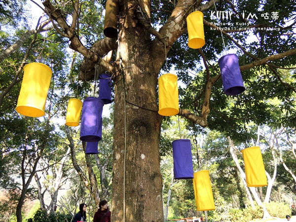 2015-1-4尖石薰衣草森林(景觀) (16).jpg