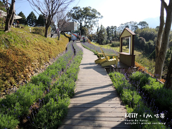 2015-1-4尖石薰衣草森林(景觀) (13).jpg