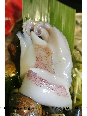 村民食堂-海月鍋物：【食記－邀約】oO。桃園　中正路　村民食堂海月鍋物　平價又美味的頂級享受！環境也超級棒的哦～。o○。