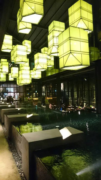 10846985_10152544774766762_461521122_n_副本