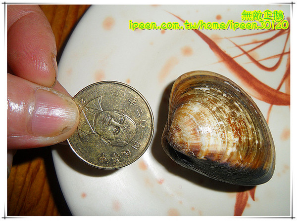 老恆春碳烤店：【台南-北區】冷冷的冬天..來吃海鮮鍋吧!《老恆春碳烤店》