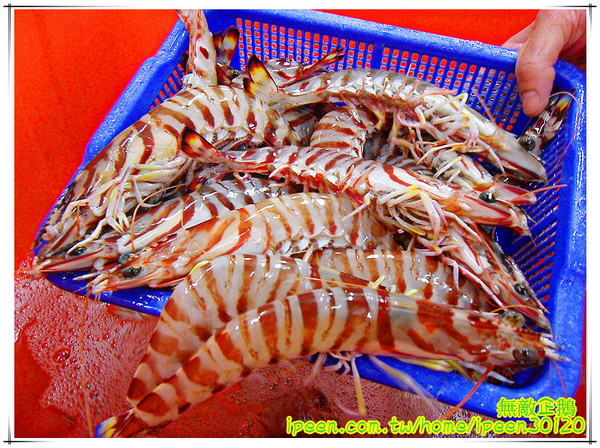 老恆春碳烤店：【台南-北區】冷冷的冬天..來吃海鮮鍋吧!《老恆春碳烤店》