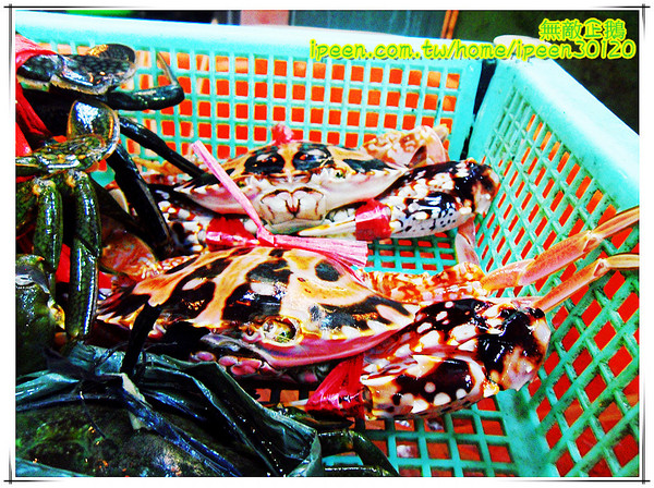 老恆春碳烤店：【台南-北區】冷冷的冬天..來吃海鮮鍋吧!《老恆春碳烤店》