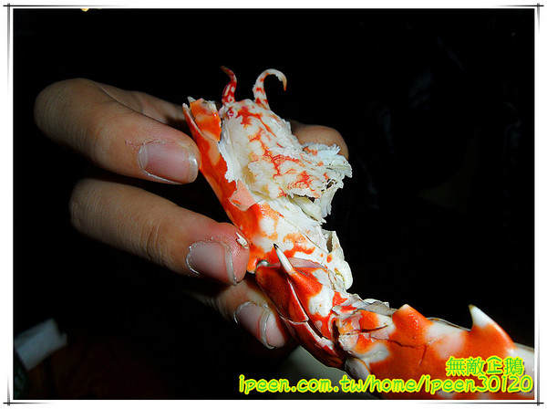 老恆春碳烤店：【台南-北區】冷冷的冬天..來吃海鮮鍋吧!《老恆春碳烤店》