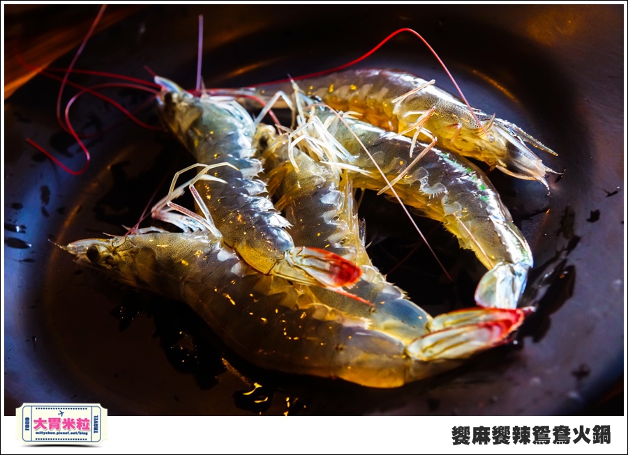 台南饗麻饗辣@麻辣鍋吃到飽@大胃米粒0069.jpg