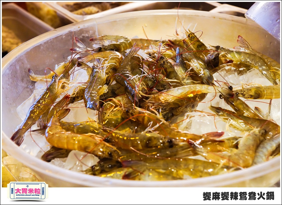 台南饗麻饗辣@麻辣鍋吃到飽@大胃米粒0032.jpg