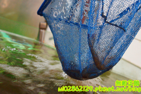 饗麻饗辣麻辣火鍋(台南中華店)：【台南-永康區】七股活蝦x吃到飽...吃火鍋+丼飯~大甲芋頭/麻辣鴨血/玉米超甜《饗麻饗辣麻辣火鍋》