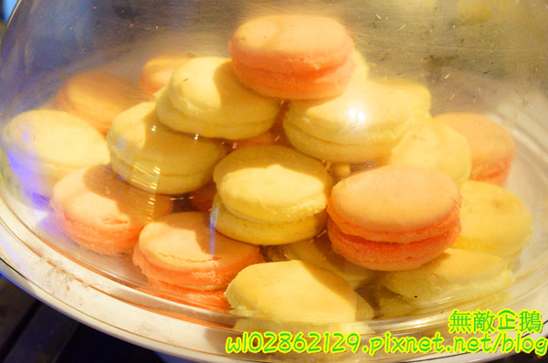 饗麻饗辣麻辣火鍋(台南中華店)：【台南-永康區】七股活蝦x吃到飽...吃火鍋+丼飯~大甲芋頭/麻辣鴨血/玉米超甜《饗麻饗辣麻辣火鍋》