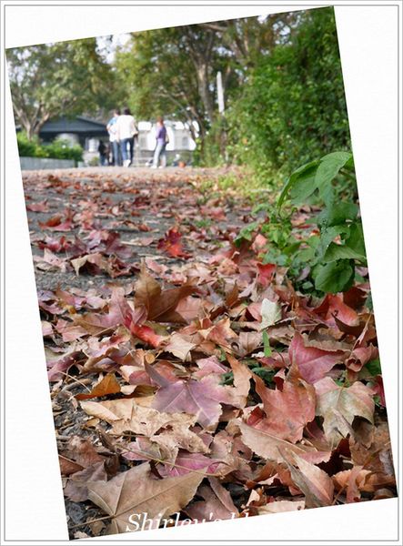 亞尼克夢想村二號店-HAPPY CAKE：亞尼克夢想村2號店HAPPY CAKE