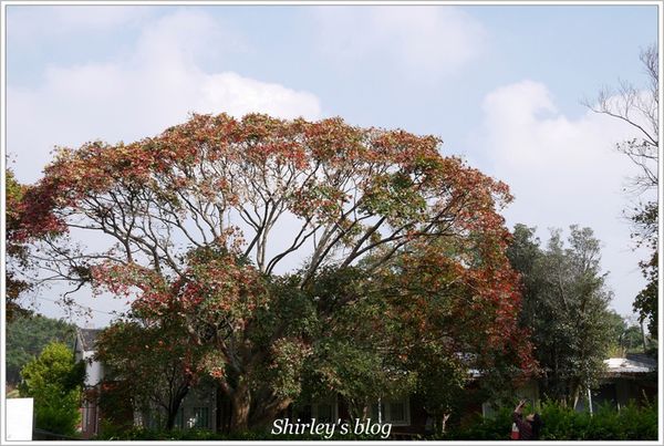 亞尼克夢想村二號店-HAPPY CAKE：亞尼克夢想村2號店HAPPY CAKE