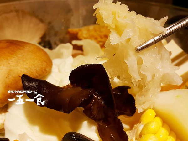 一五一食時尚鮮鍋(高島屋百貨店):【天母|一五一食】環境乾淨食材新鮮的平價涮涮鍋新選擇