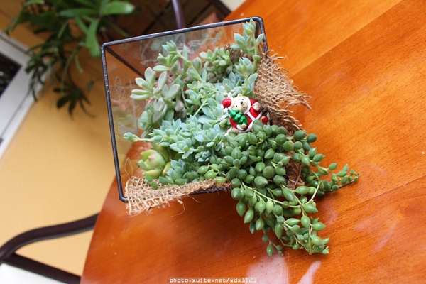 Have fun想樂美式餐廳：Have fun想樂美式餐廳✪放鬆放空的好去處~103.12.10