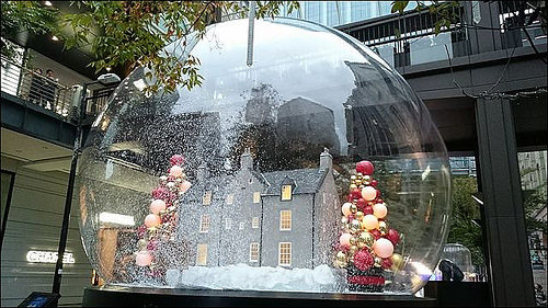 13594_682396558459420_1392808841_n