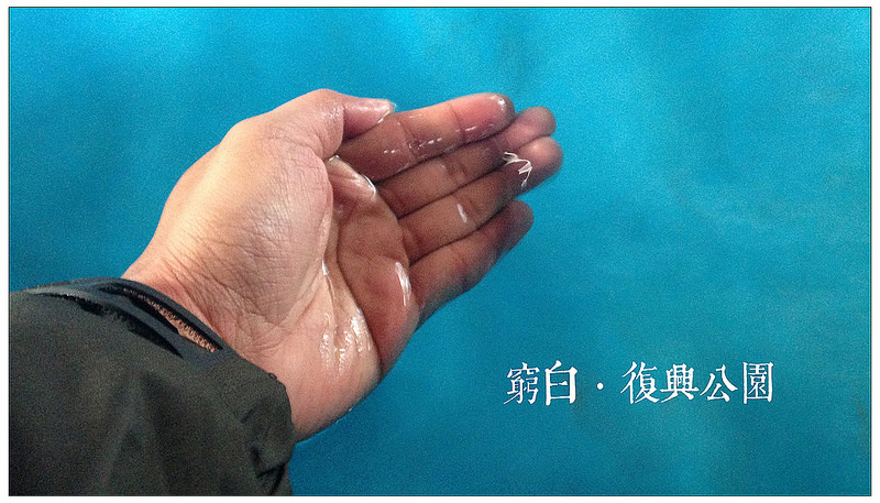 復興公園泡腳池 08